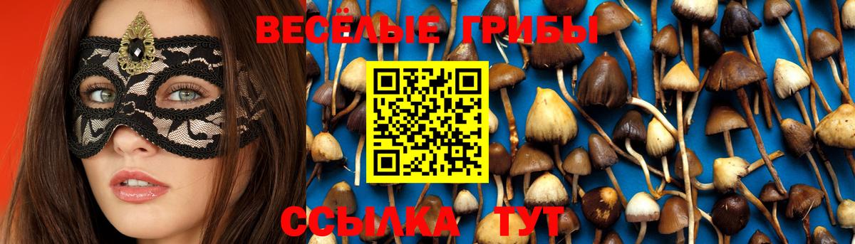 Галлюциногенные грибы прущие грибы Партизанск